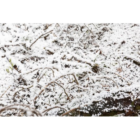 Beamz Snow5000