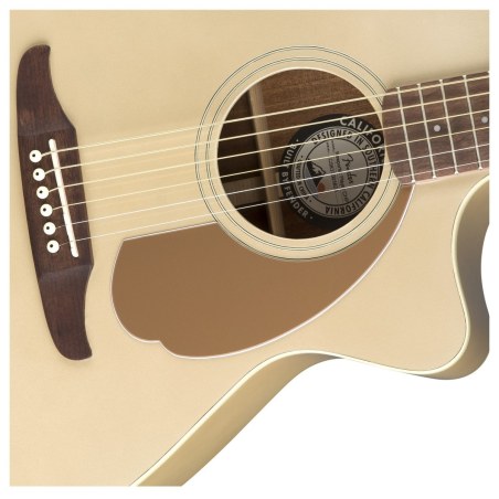 Fender Newporter Player WN Champagne