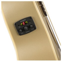 Fender Newporter Player WN Champagne