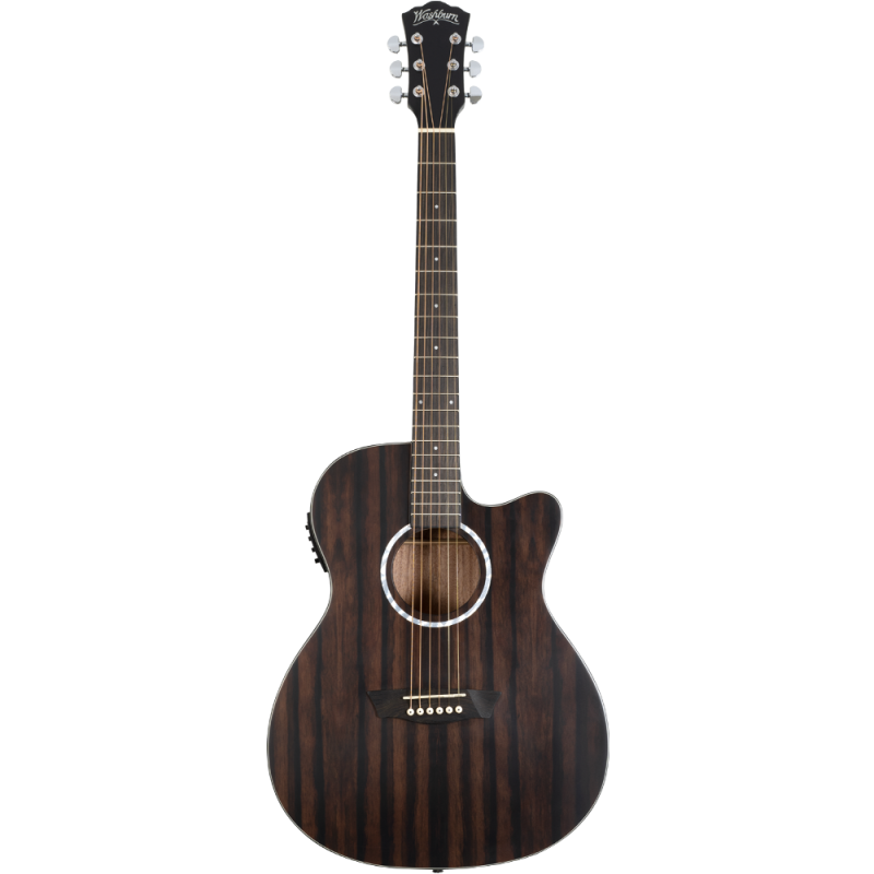 Washburn Ebony ACE Natural