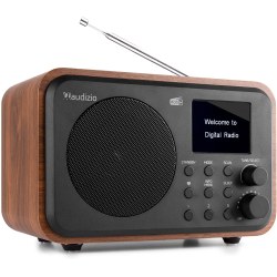 Audizio Milan Dab+ Radio BT FM Batt Wood