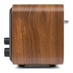 Audizio Milan Dab+ Radio BT FM Batt Wood
