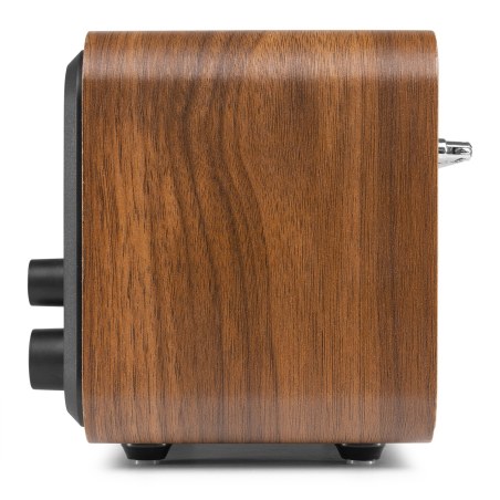 Audizio Milan Dab+ Radio BT FM Batt Wood