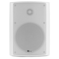 Power Dynamics BC65V Speak Set 100V White