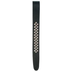 Planet Waves 25LGS01