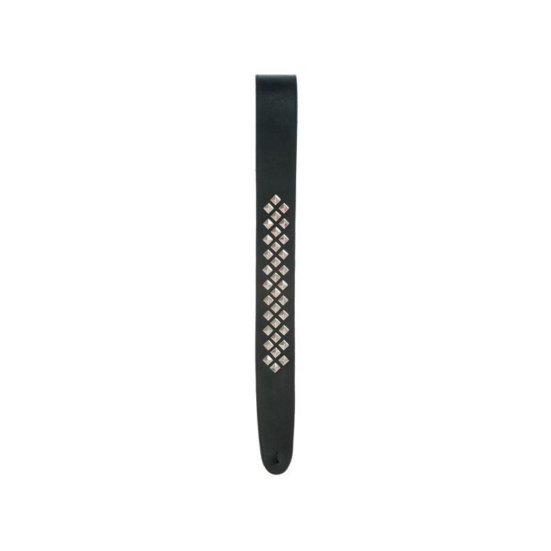 Planet Waves 25LGS01