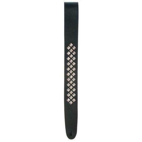 Planet Waves 25LGS01