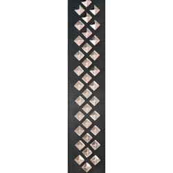 Planet Waves 25LGS01