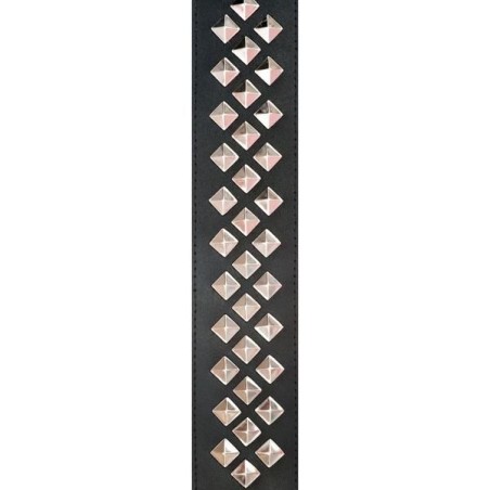 Planet Waves 25LGS01