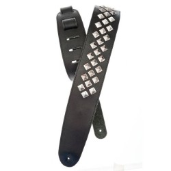 Planet Waves 25LGS01