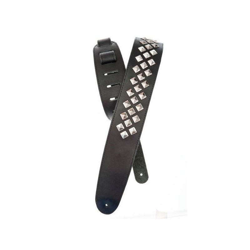 Planet Waves 25LGS01