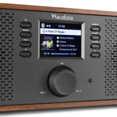 Audizio Rimini Internet Radio WiFi Wood