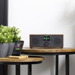 Audizio Rimini Internet Radio WiFi Wood