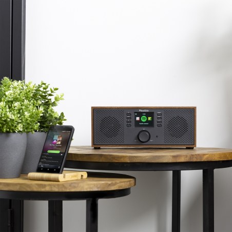 Audizio Rimini Internet Radio WiFi Wood