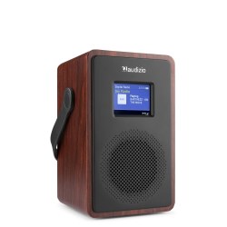 Audizio Modena Dab+ Radio FM Wood