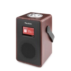 Audizio Modena Dab+ Radio FM Wood