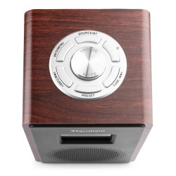 Audizio Modena Dab+ Radio FM Wood