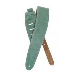 Planet Waves 25SS05-DX