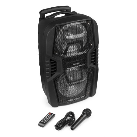 Fenton FT208LED Portable System