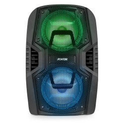 Fenton FT208LED Portable System