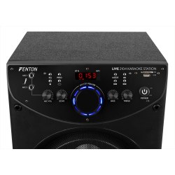 Fenton LIVE2104 Karaoke Station 2x10"