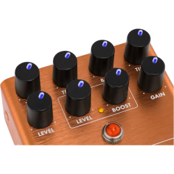 Fender MTG: LA Tube Distorsion