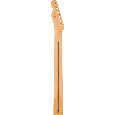 Fender Player Telecaster Neck PF C