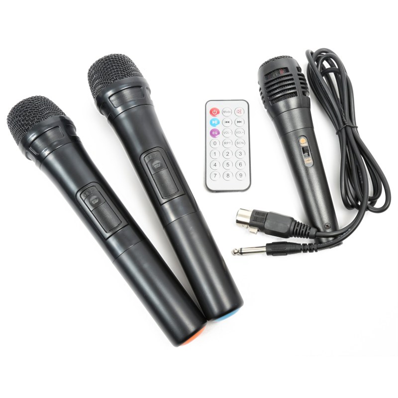 VONYX ST100 MK2 Portable System