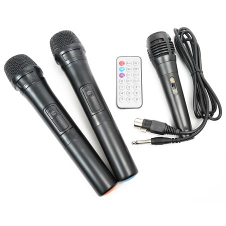 VONYX ST100 MK2 Portable System