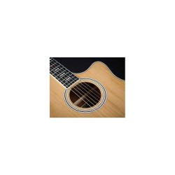 Hagstrom Elfdalia II CE