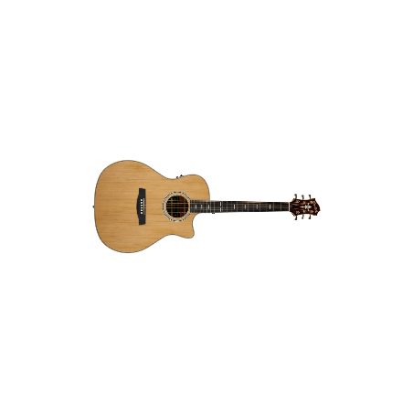 Hagstrom Elfdalia II CE