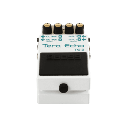 BOSS TE-2 Tera Echo