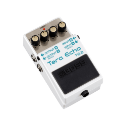 BOSS TE-2 Tera Echo