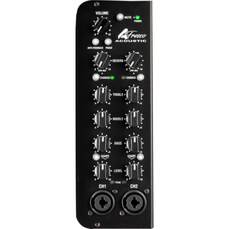 Laney A-Fresco-2 Natural