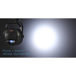 Centolight W504