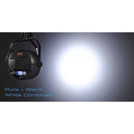 Centolight W504
