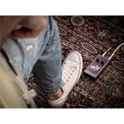 Aguilar Grape Phaser
