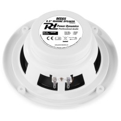 Power Dynamics MS65