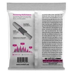 Ernie Ball P02814