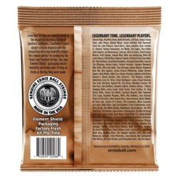 Ernie Ball 2143 Earthwood Phosphor Bronze 12.5-56