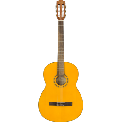 Fender ESC105 Educational Series
