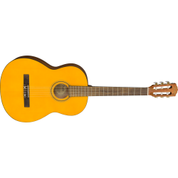 Fender ESC105 Educational Series