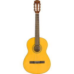 Fender ESC-80 Educational Series