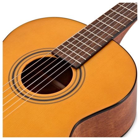 Fender ESC-80 Educational Series