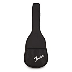Fender ESC-80 Educational Series