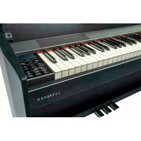 Dexibell VIVOH5BK Nero