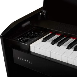 Dexibell VIVOH10BKP