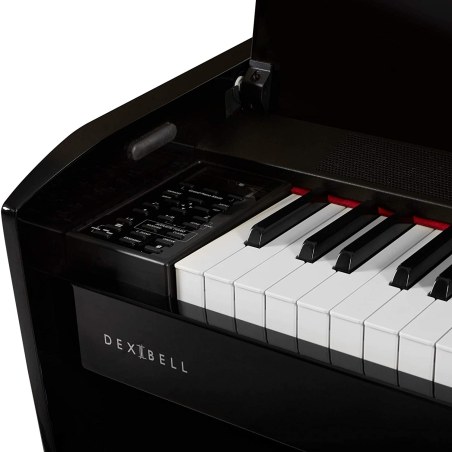 Dexibell VIVOH10BKP