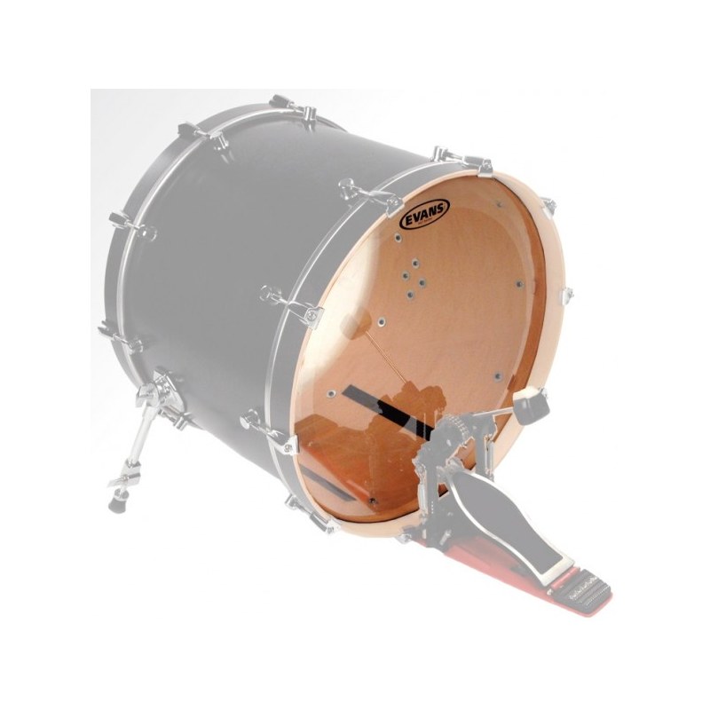 Evans BD20RG Coated 20"