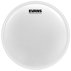 Evans BD22UV1 22" Coated